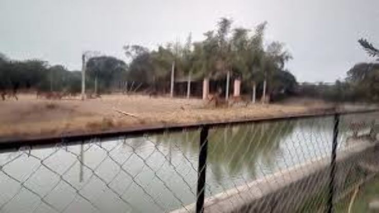 Deer Park Museum Trip Packages