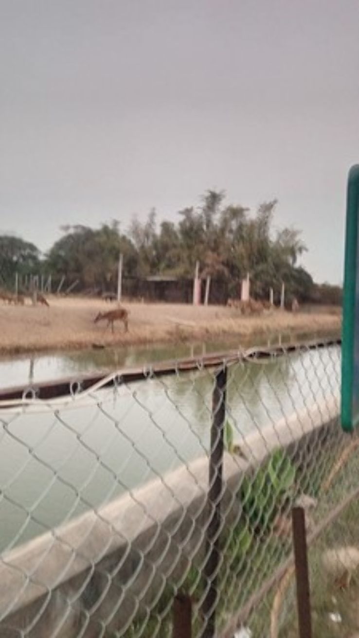 Deer Park Museum Trip Packages