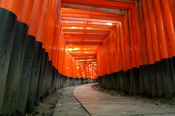 Fushimi Inari-taisha Shrine  Trip Packages