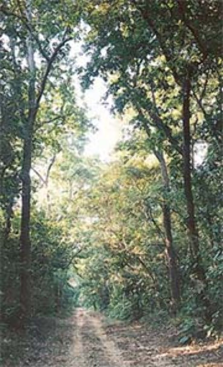 Kalesar National Park Trip Packages Kalesar National Park Trip Packages