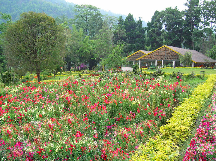 Saramsa Garden Trip Packages