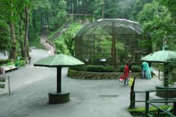 Padmaja Naidu Himalayan Zoological Park Trip Packages