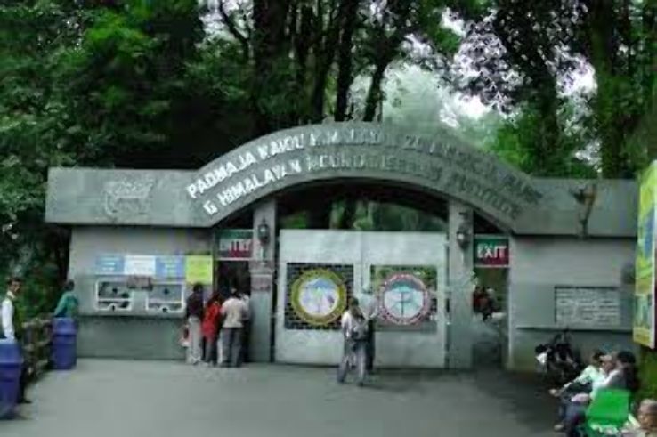 Padmaja Naidu Himalayan Zoological Park Trip Packages