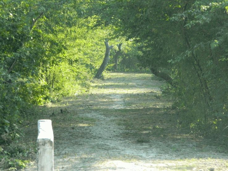 Nawabganj Bird Sanctuary Trip Packages