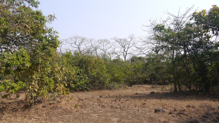 Phansad Wildlife Sanctuary  Trip Packages