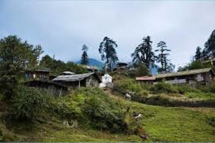 Barsey Rhododendron Sanctuary Trip Packages Barsey Rhododendron Sanctuary Trip Packages
