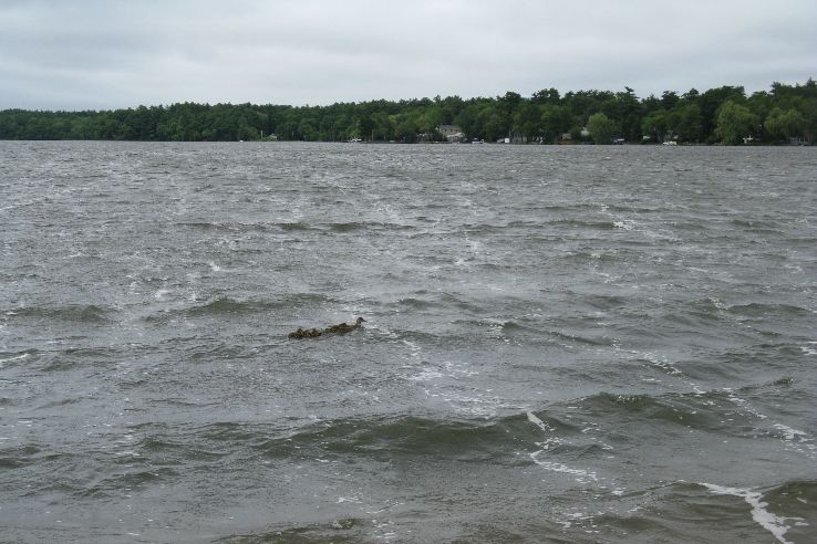 Oldham Pond in halifax United States Of America reviews, best time to