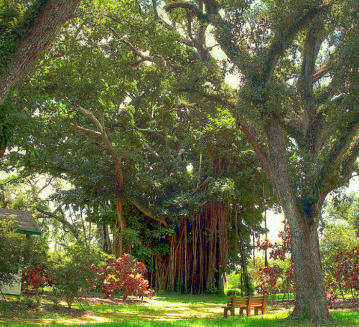 Flamingo Garden Trip Packages