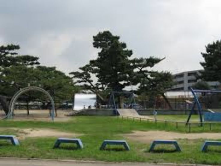 Hamadera Park Trip Packages