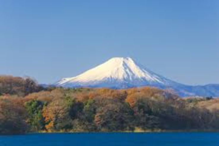 Sayama Pond Trip Packages