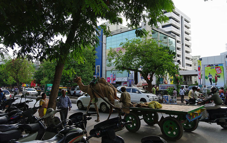 Law Garden Trip Packages