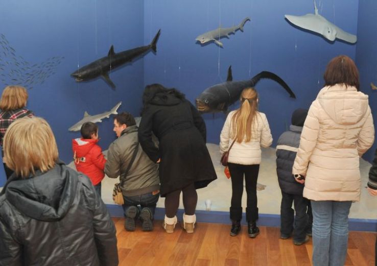  Dubrovnik Natural History Museum Trip Packages