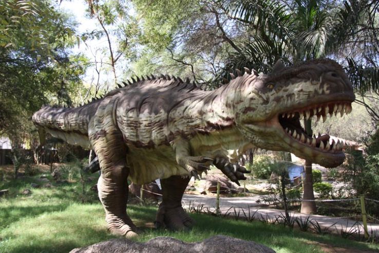 Indroda Dinosaur and Fossil Park Trip Packages