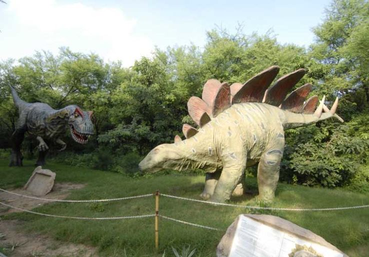 Indroda Dinosaur and Fossil Park Trip Packages