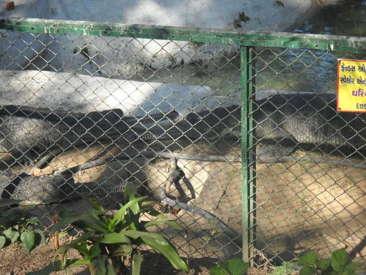 Kamla Nehru Zoological Garden Trip Packages