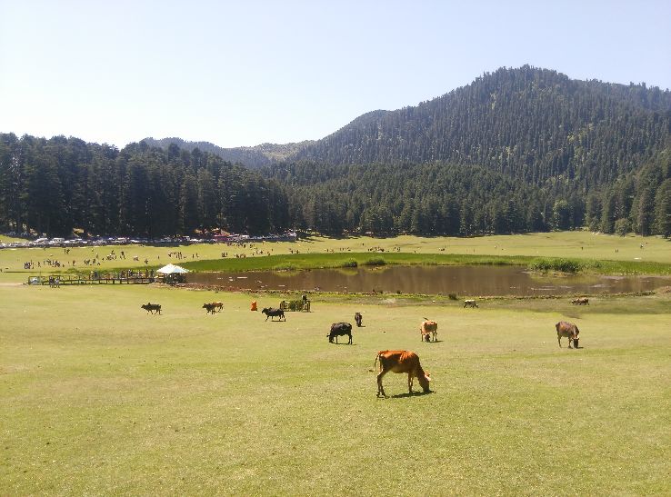 5 Days 4 Nights Khajjiar to Hill Stations Trip Package