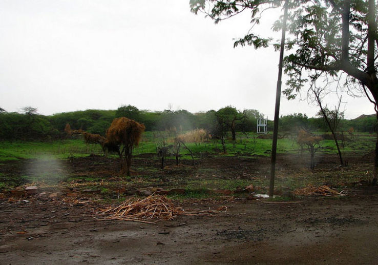Gangahaja Trip Packages Gangahaja Trip Packages