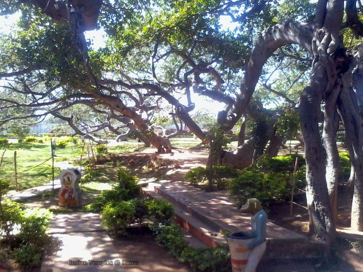 Pillalamarri / Big Banyan Tree Trip Packages