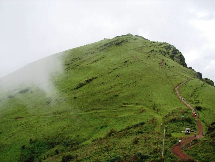 Trek to Mullayanagiri Trip Packages
