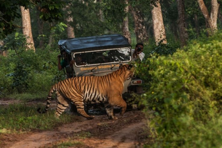 Bhadra Wildlife Sanctuary Jeep Safari Trip Packages