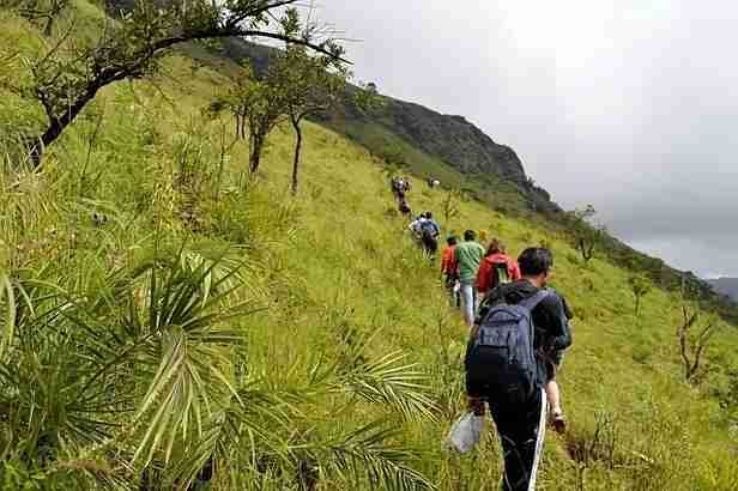 Trek to Bababudangiri Trip Packages