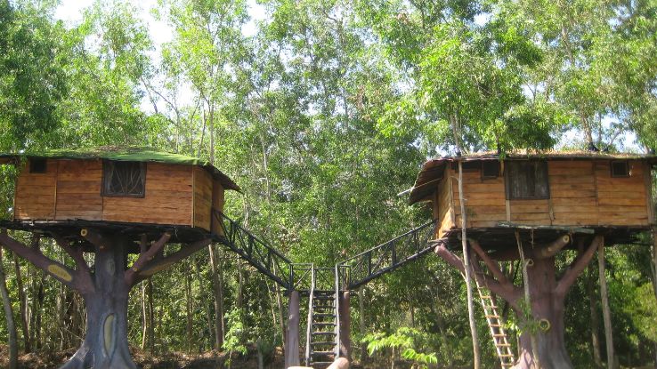 Coffee Plantation Stay Trip Packages