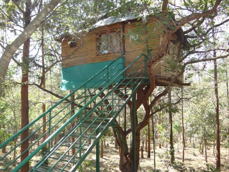 Coffee Plantation Stay Trip Packages