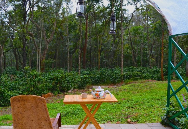 Coffee Plantation Stay Trip Packages