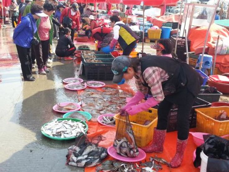 Sorae Pogu Traditional Fish Market Trip Packages