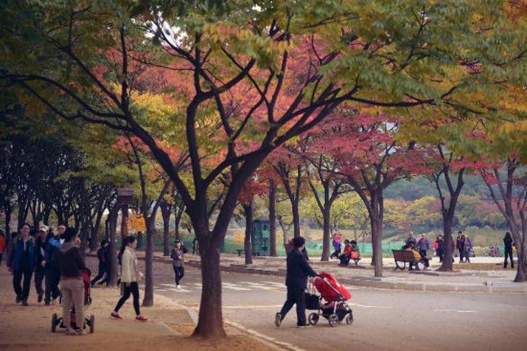 Incheon Grand Park  Trip Packages