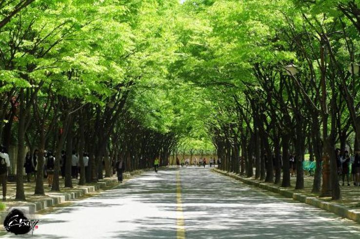 Incheon Grand Park  Trip Packages