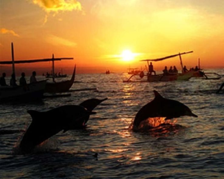 Watch dolphins at sunrise at Lovina Beach  Trip Packages
