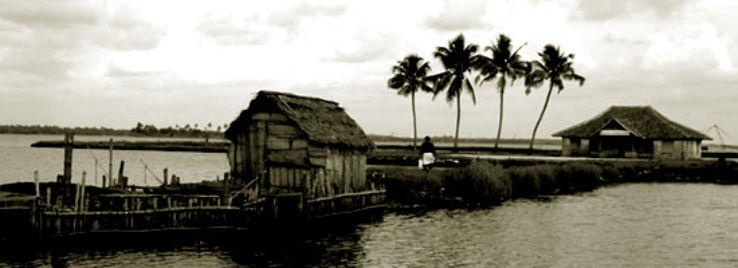 Veeranpuzha River Trip Packages Veeranpuzha River Trip Packages