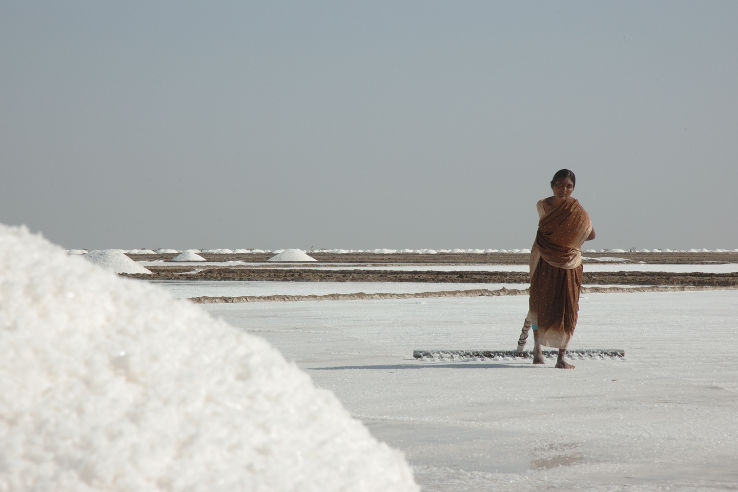 Great Rann of Kutch Trip Packages