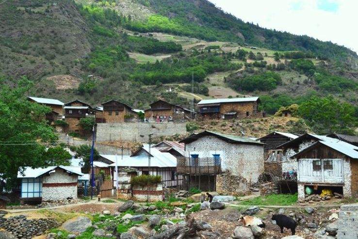 Northeast Explorer : 10 Days Arunachal Pradesh, Assam, Meghalaya