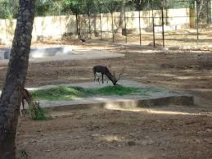 Mysore Zoo Trip Packages