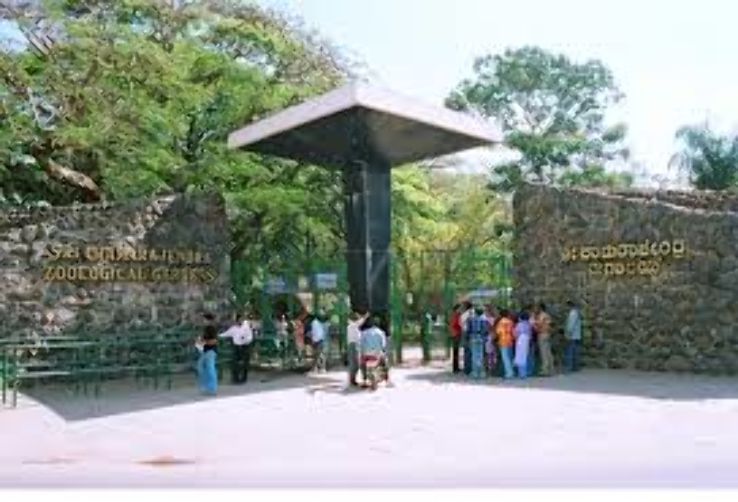 Mysore Zoo Trip Packages