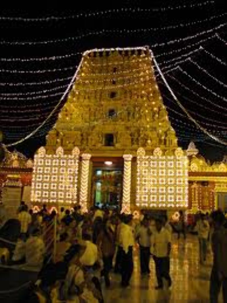 Mysuru Sand Sculpture Museum Trip Packages