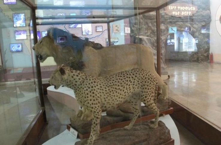 Regional Museum of Natural History  Trip Packages
