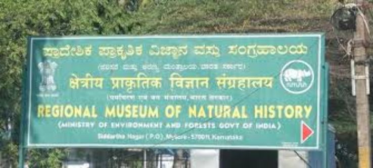 Regional Museum of Natural History  Trip Packages