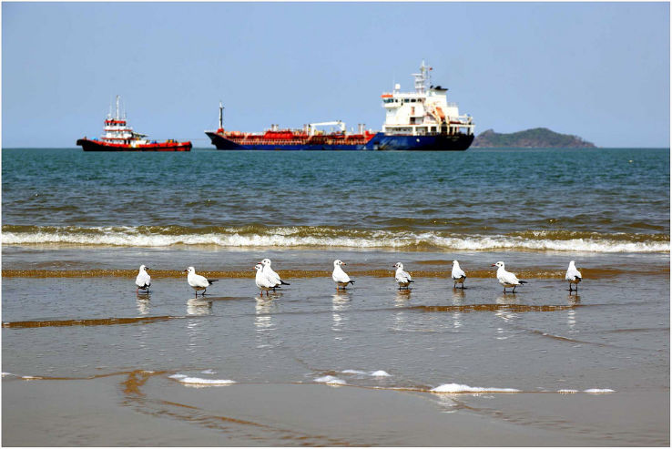 Rabindranath Tagore Beach  Trip Packages