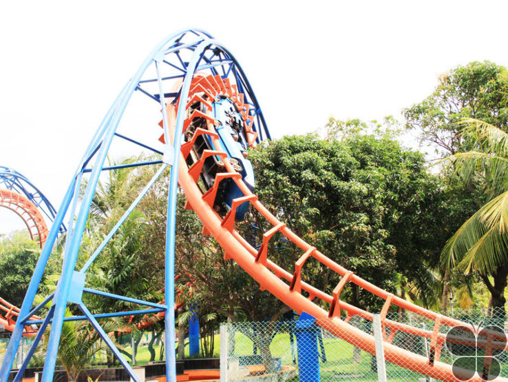 MGM Dizee World Trip Packages