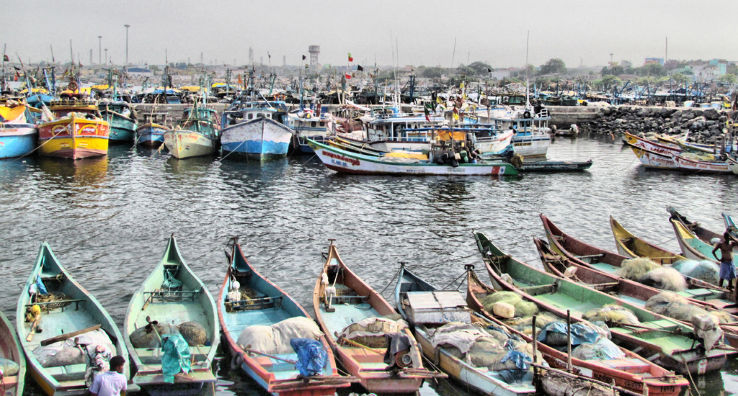 Royapuram Fishing Harbour, chennai, India - Top Attractions, Things to Do &  Activities in Royapuram Fishing Harbour