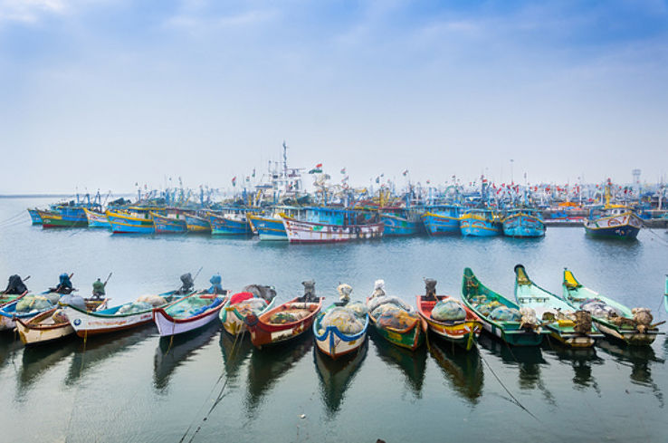 Royapuram Fishing Harbour Trip Packages