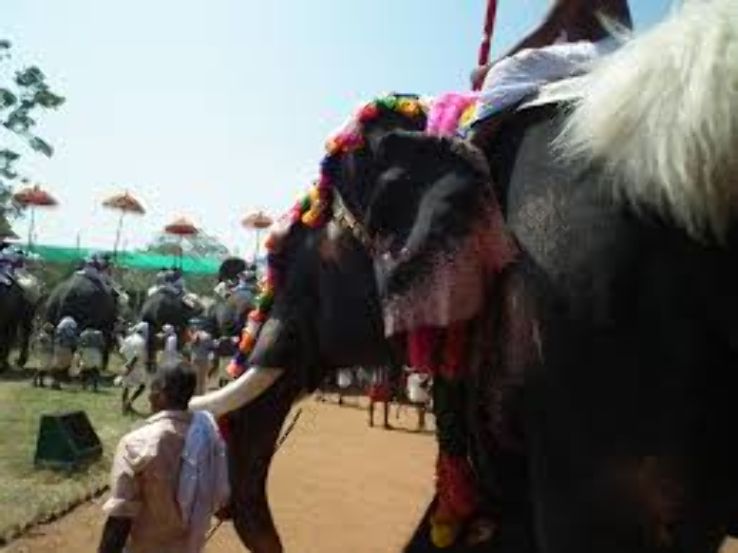 THIRUVAMBADI Trip Packages