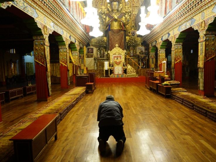 Sherbling Trip Packages