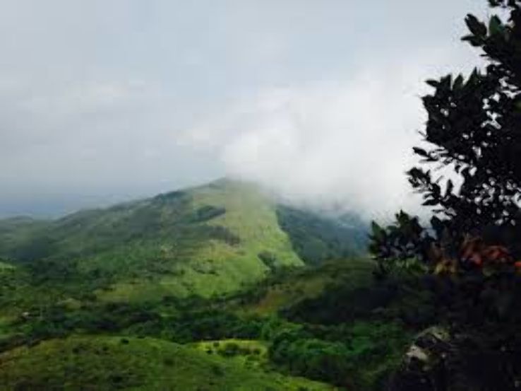 Tadiandamol Trip Packages Tadiandamol Trip Packages