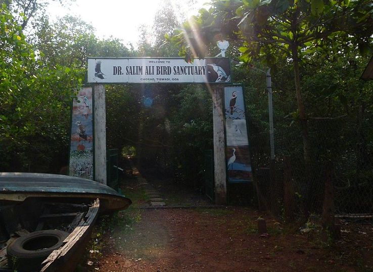 Dr. Salim Ali Bird Sanctuary Trip Packages