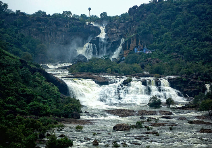 Papanasam Falls / Agasthiyar Falls Trip Packages