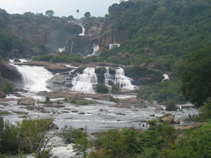 Papanasam Falls / Agasthiyar Falls Trip Packages